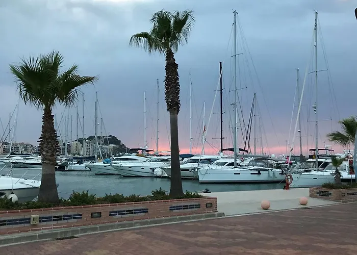 Oasis Paradise