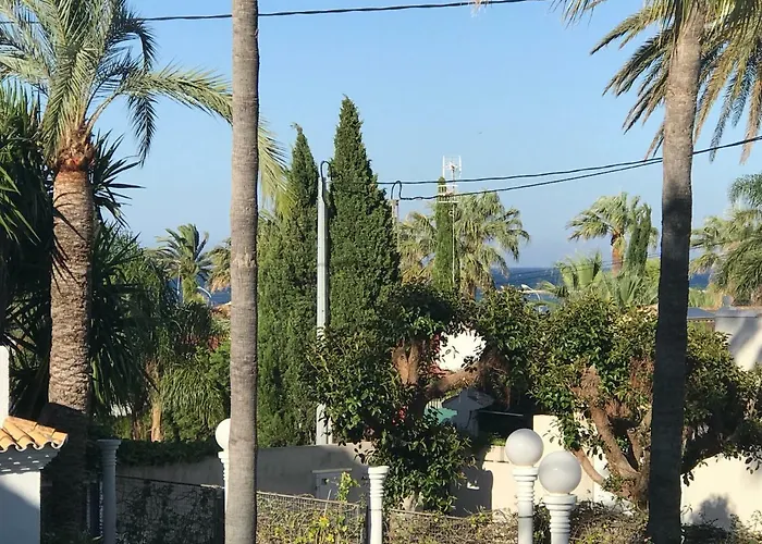 Oasis Paradise