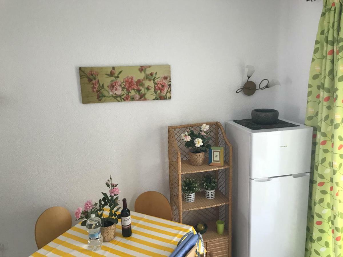 Oasis Paradise Apartament